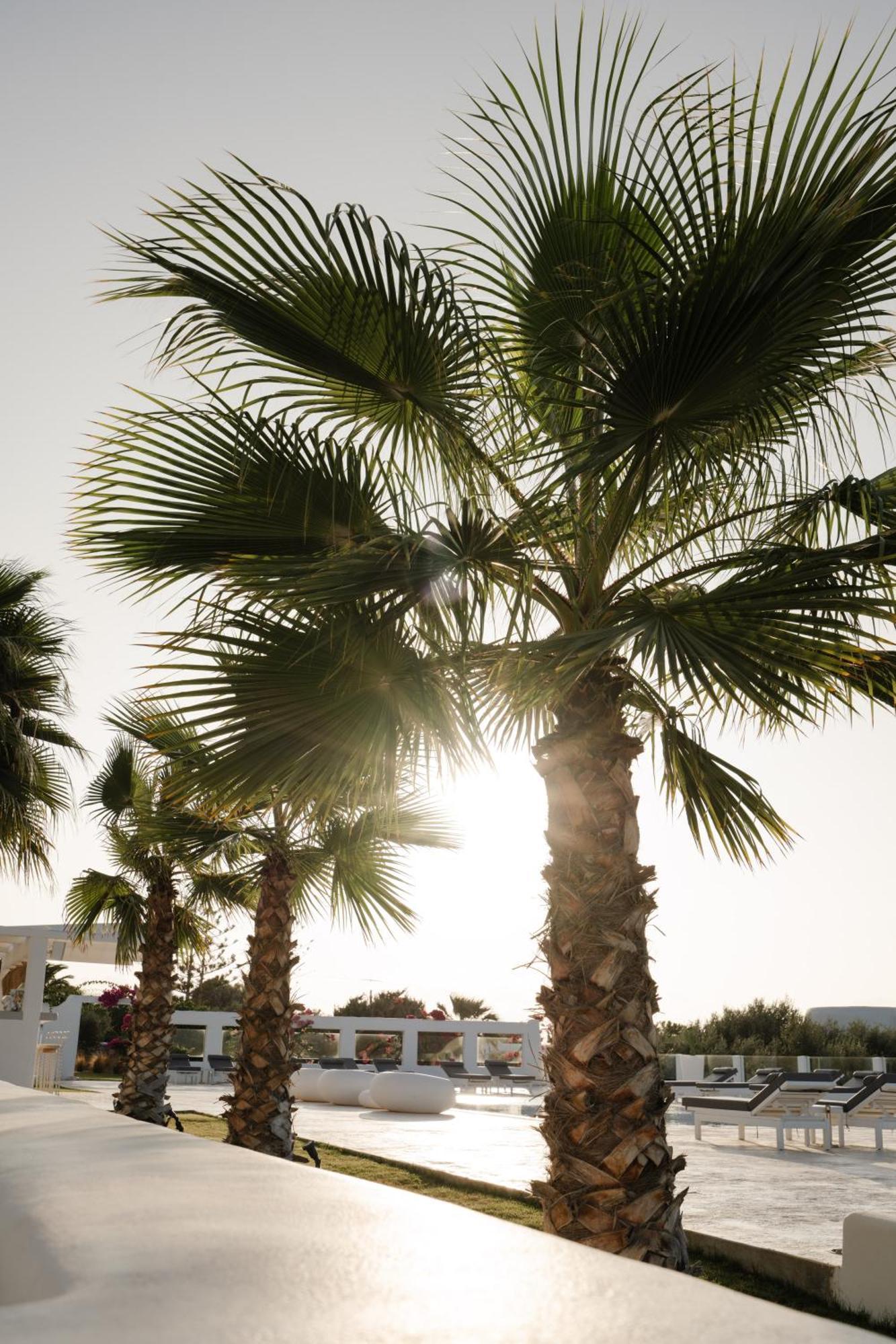 White Dunes Luxury Boutique Hotel Santa Maria  Exterior foto